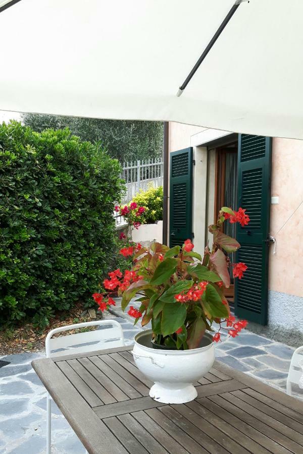 Double Room Garden View,892695604:JPEG